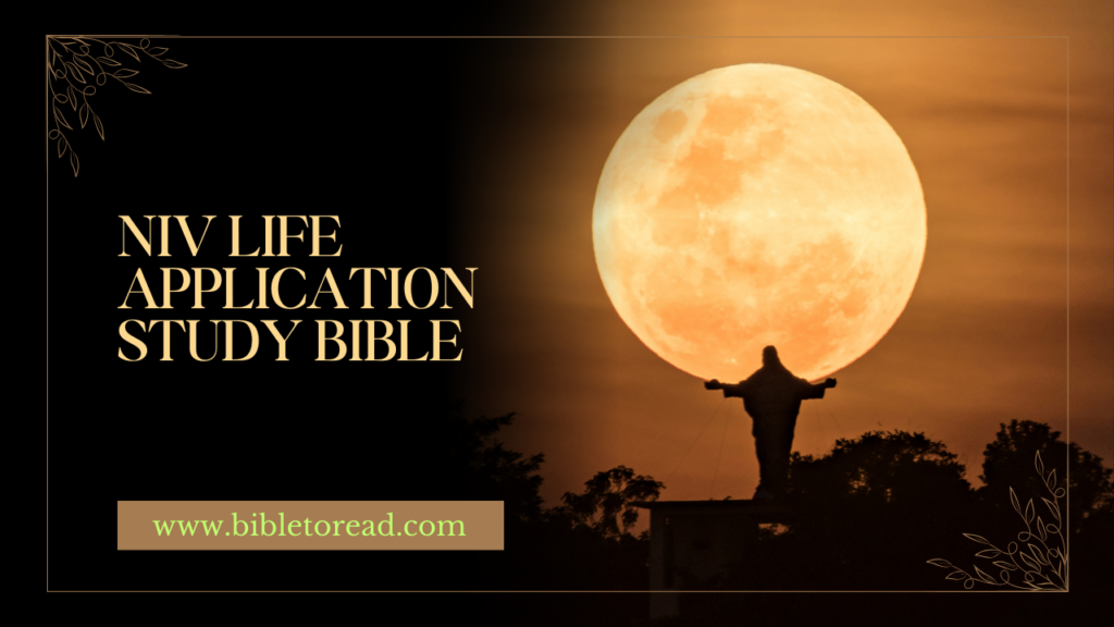 NIV-Life-Application-Study-Bible_-A-Complete-Guide